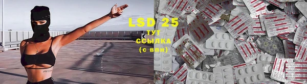 гидропоника Белокуриха