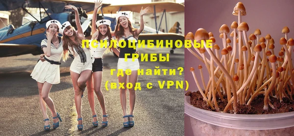 гидропоника Белокуриха