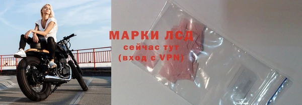 гидропоника Белокуриха