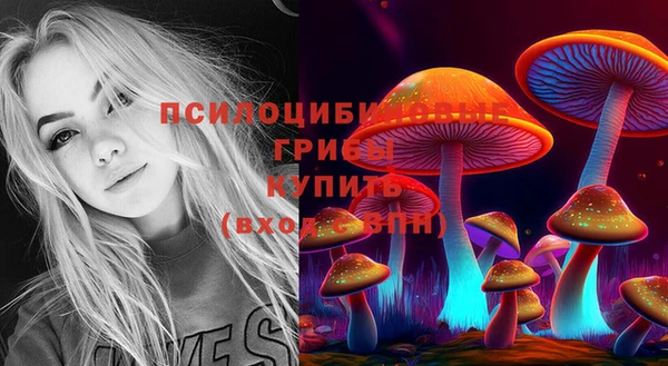 a pvp Беломорск