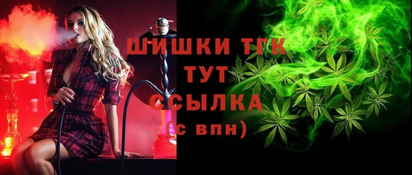 гидропоника Белокуриха
