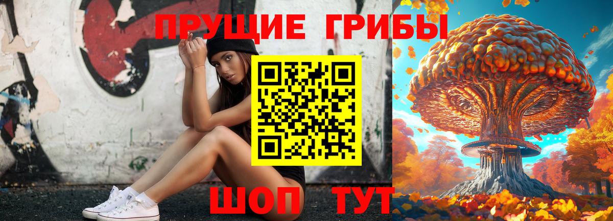 Псилоцибиновые грибы мицелий Свободный