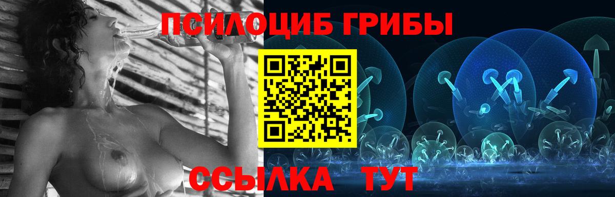 Псилоцибиновые грибы Psilocybine cubensis  Вход с VPN  Свободный  Галлюциногенные грибы GOLDEN TEACHER 