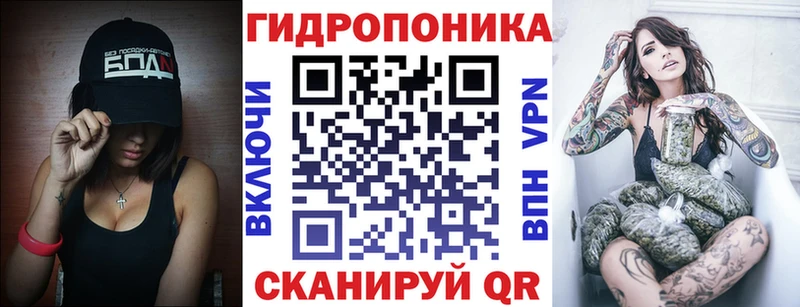 Конопля план дарнет шоп Свободный